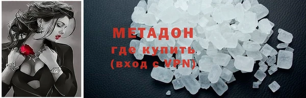 прущие грибы Бердск