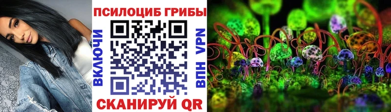 Галлюциногенные грибы Cubensis  Ростов 